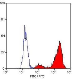 CD68/SR-D1 Antibody (ED1) - BSA Free, Novus Biologicals:Antibodies:Primary