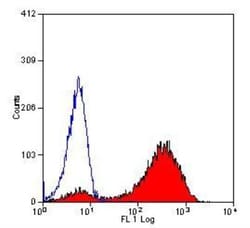CD68/SR-D1 Antibody (ED1) - BSA Free, Novus Biologicals:Antibodies:Primary