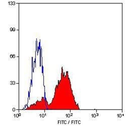 CD81 Antibody (1D6) - BSA Free, Novus Biologicals:Antibodies:Primary Antibodies