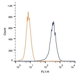 CD81 Antibody (1D6) - BSA Free, Novus Biologicals:Antibodies:Primary Antibodies
