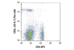 CD8 Antibody (53-6.7) - BSA Free, Novus Biologicals 0.5mg; Unlabeled:Antibodies,