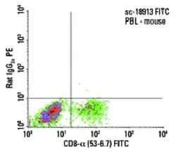 CD8 Antibody (53-6.7) - BSA Free, Novus Biologicals 0.5mg; Unlabeled:Antibodies,
