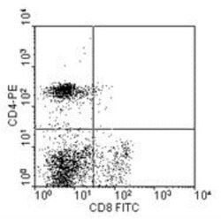 CD8 Antibody (76-2-11), FITC, Novus Biologicals 0.25mg; FITC:Antibodies,