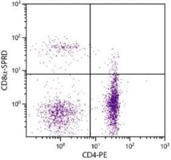 CD8 Antibody (CT-8), FITC, Novus Biologicals 0.25mg; FITC:Antibodies, Monoclonal