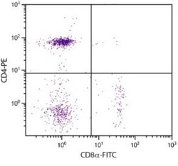 CD8 Antibody (EP72), FITC, Novus Biologicals 0.25mg; FITC:Antibodies, Monoclonal