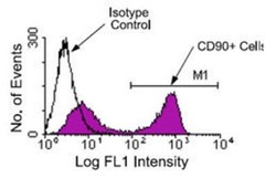CD90/Thy1 Antibody (G7) - Azide and BSA Free, Novus Biologicals 0.5 mg | Buy Online | Novus Biologicals | Fisher Scientific
