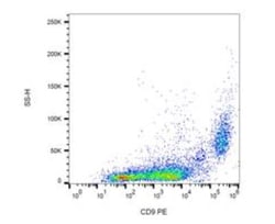 CD9 Antibody (EM-04) - BSA Free, Novus Biologicals 0.1mg; Unlabeled:Antibodies,