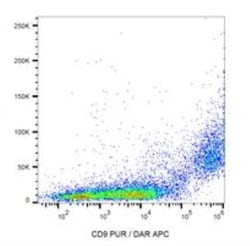 CD9 Antibody (EM-04) - BSA Free, Novus Biologicals 0.1mg; Unlabeled:Antibodies,