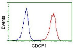 CDCP1 Antibody (OTI2C1), Novus Biologicals 0.1 mL | Buy Online | Novus Biologicals | Fisher Scientific