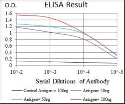 CEBP alpha Antibody (4E10) - BSA Free, Novus Biologicals:Antibodies:Primary