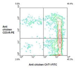 ChT1 antigen Antibody (CT1), FITC, Novus Biologicals 0.25mg; FITC:Antibodies,
