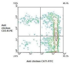 ChT1 antigen Antibody (CT1), PE, Novus Biologicals 0.1mg; PE:Antibodies,