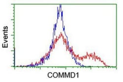 COMMD1 Antibody (OTI1F2), Novus Biologicals 0.1mL; Unlabeled:Antibodies,