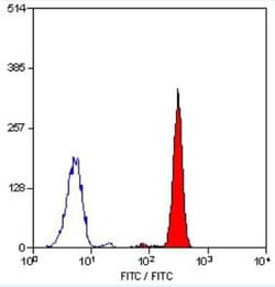 Complement Component C5aR1 Antibody (P12/1) - BSA Free, Novus Biologicals