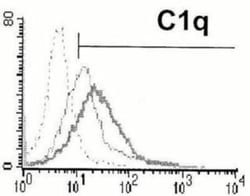 Complement Component C1qA Antibody (3R9/2) - BSA Free, Novus Biologicals