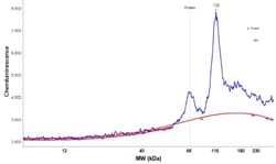 Complement Factor B Antibody, Novus Biologicals 0.1mL; Unlabeled:Antibodies,