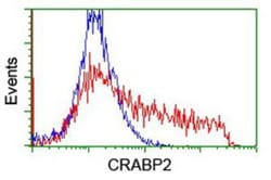 CRABP2 Antibody (OTI10D6), Novus Biologicals 0.1mL; Unlabeled:Antibodies,
