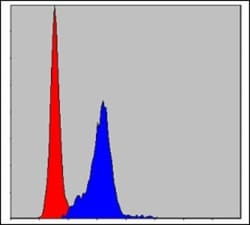 Crk Antibody (3G11E8), Novus Biologicals:Antibodies:Primary Antibodies