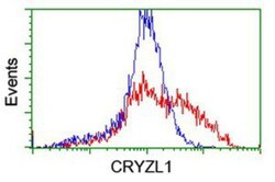 CRYZL1 Antibody (OTI2F9), Novus Biologicals 0.1mL; Unlabeled:Antibodies,