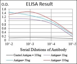 CTNNBL1 Antibody (1E4F5) - BSA Free, Novus Biologicals 0.1mL; Unlabeled:Antibodies,