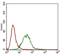 CTNNBL1 Antibody (1E4F5) - BSA Free, Novus Biologicals 0.1mL; Unlabeled:Antibodies,