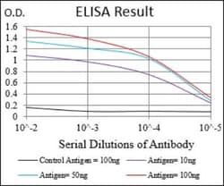 Cyclin E1 Antibody (5F8C5) - BSA Free, Novus Biologicals 0.1mL; Unlabeled:Antibodies,