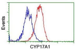 Cytochrome P450 17A1 Antibody (OTI3F11), Novus Biologicals 0.1mL; Unlabeled:Antibodies,