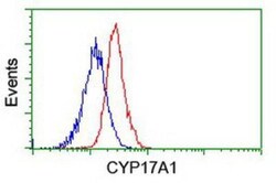 Cytochrome P450 17A1 Antibody (OTI3F11), Novus Biologicals 0.1mL; Unlabeled:Antibodies,