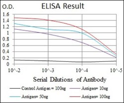 Cytochrome P450 1A1 Antibody (6G5) - BSA Free, Novus Biologicals 0.1 mL | Buy Online | Novus Biologicals | Fisher Scientific