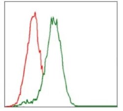 Cytochrome P450 3A4 Antibody (3H8) - BSA Free, Novus Biologicals 0.1mL;