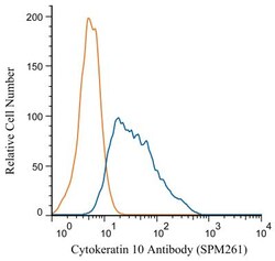 Cytokeratin 10 Antibody (SPM261), Alexa Fluor 647, Novus Biologicals 100
