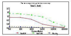 5-MethylCytosine Antibody, Novus Biologicals 0.125 mg; Unconjugated:Antibodies,