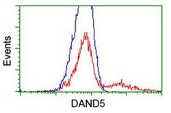 COCO/DAND5 Antibody (OTI2H3), Novus Biologicals 0.1mL; Unlabeled:Antibodies,