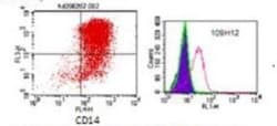 DC-SIGN/CD209 Antibody (109H12.03), Alexa Fluor 647, Novus Biologicals