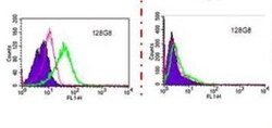 DC-SIGNR/CD299/CLEC4M Antibody (128G8), Novus Biologicals 0.1mg; Unlabeled:Antibodies,