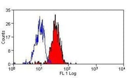 Dectin-1/CLEC7A Antibody (BD6) - BSA Free, Novus Biologicals:Antibodies:Primary