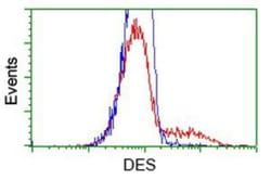 Desmin Antibody (OTI4G1), Novus Biologicals 0.1mL; Unlabeled:Antibodies,