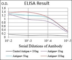 Desmoglein-3 Antibody (6G2C11) - BSA Free, Novus Biologicals 0.1mL; Unlabeled:Antibodies,