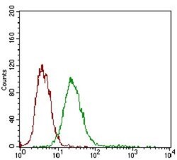Desmoglein-3 Antibody (6G2C11) - BSA Free, Novus Biologicals 0.1mL; Unlabeled:Antibodies,