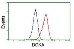 anti-DGK-alpha, Clone: 4A11, Novus Biologicals 0.1mL; Unlabeled, Quantity: