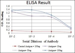 DNA-PKcs Antibody (3H6) - BSA Free, Novus Biologicals:Antibodies:Primary