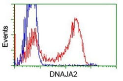 DNAJA2 Antibody (OTI3A10), Novus Biologicals 0.1mL; Unlabeled:Antibodies,