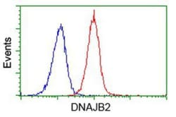 DNAJB2 Antibody (OTI4D12), Novus Biologicals 0.1mL; Unlabeled:Antibodies,