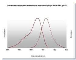 Donkey anti-Goat IgG (H+L) Secondary Antibody, DyLight 680, Novus Biologicals™