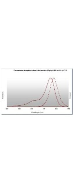 Donkey anti-Sheep IgG (H+L) Secondary Antibody, DyLight 800 (Pre-adsorbed), Novus Biologicals™