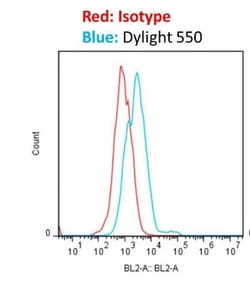 Donkey anti-Rabbit IgG (H+L) Secondary Antibody, DyLight 550 (Pre-adsorbed),