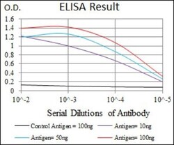 Doublecortin Antibody (2G5) - BSA Free, Novus Biologicals:Antibodies:Primary