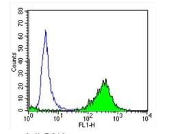 DPPIV/CD26 Antibody (236.3) - Azide and BSA Free, Novus Biologicals 500