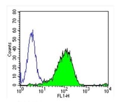 DPPIV/CD26 Antibody (236.3) - Azide and BSA Free, Novus Biologicals 500