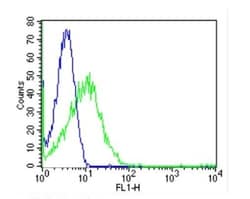 DPPIV/CD26 Antibody (236.3) - Azide and BSA Free, Novus Biologicals 500